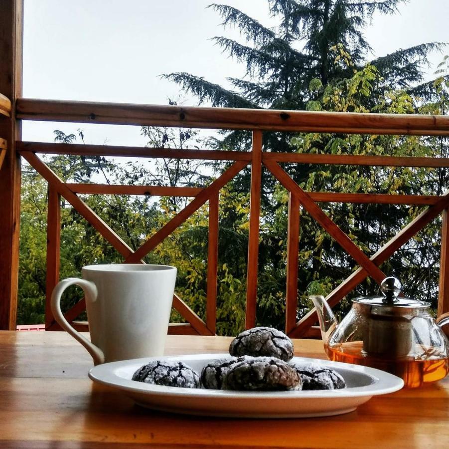 Soham'S Chateau De Naggar - Manali Nagar  Luaran gambar